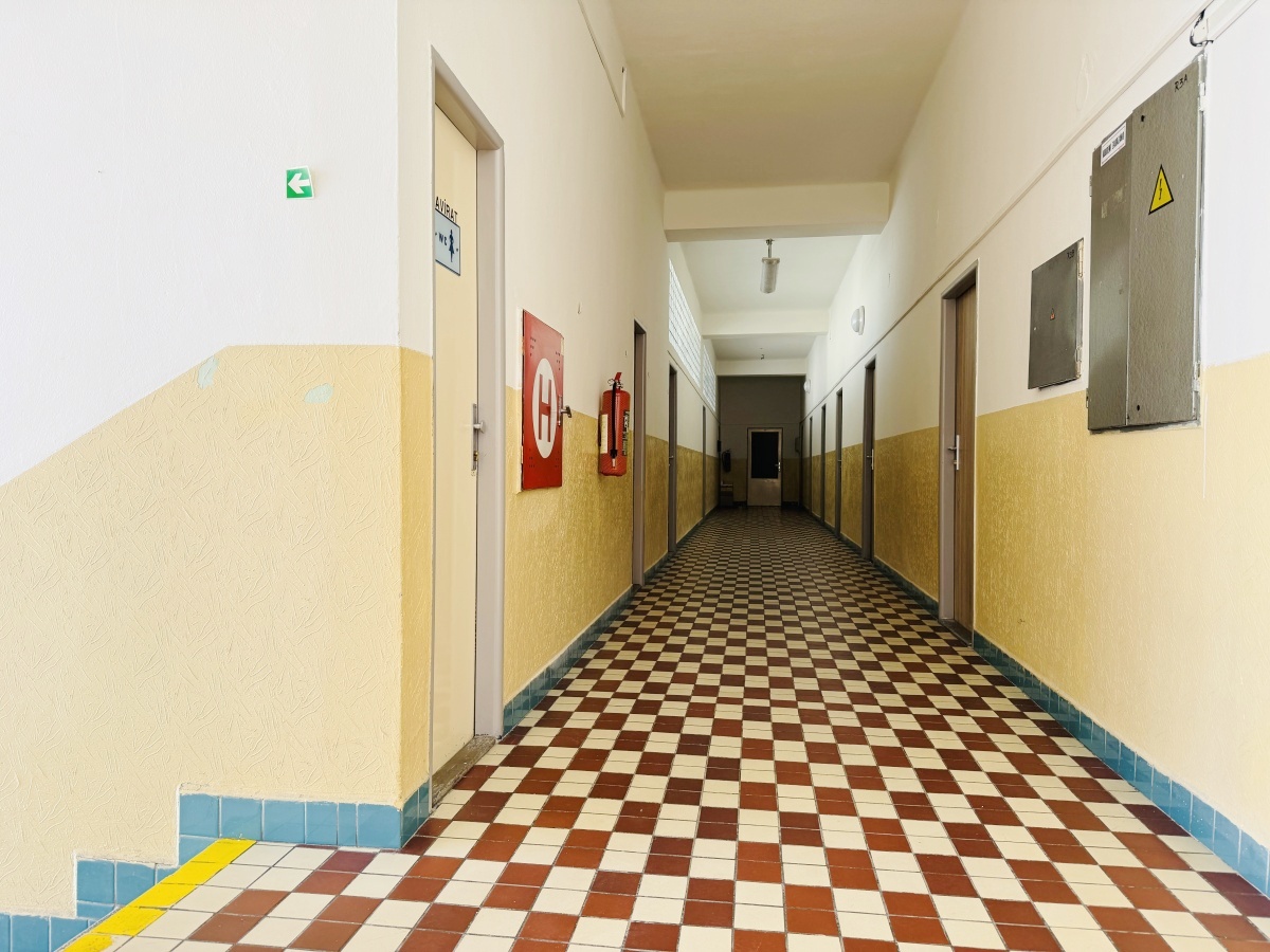 ./